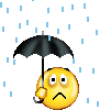 :rain: